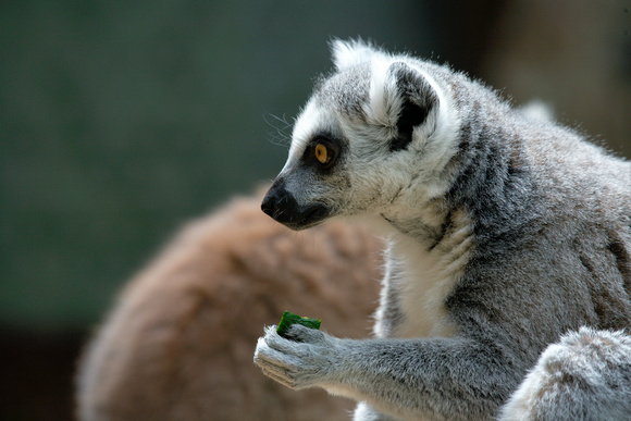 Tierpark Hellabrunn