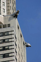Hawks on Chrysler