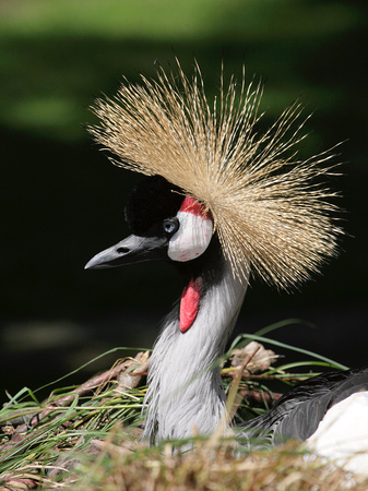 Tierpark Hellabrunn